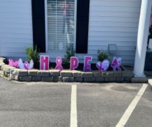 Loris Main BCA Display